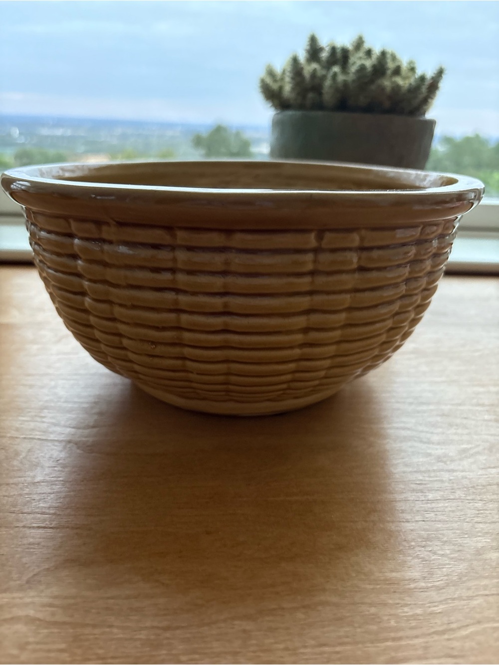Beautiful Ceramic Woven-Texture Bowl Planter Flower Pot in Warm Beige Good Clean